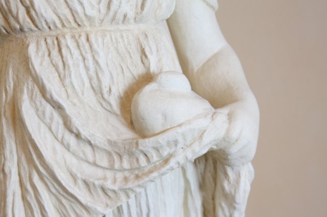 Taube im Mädchenarm